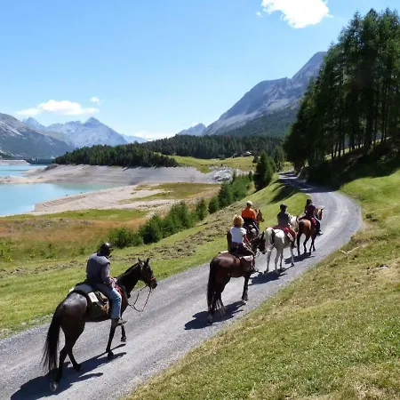 Ferienhaus Family With Pool And Amazing Panoramic Penthouse Colico